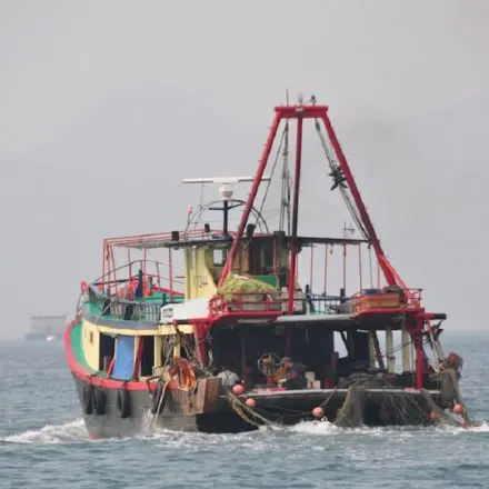 ARGENTINA: Pesqueiros chineses operam de maneira ilegal na Argentina