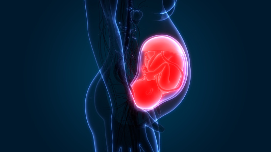 CNN: Lei antiaborto entra em vigor no Texas