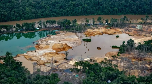 Indústria 4.0 pode ajudar a salvar a Amazônia…