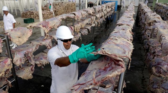 Entenda cenário das exportações da carne brasileira após impasses com China e EUA